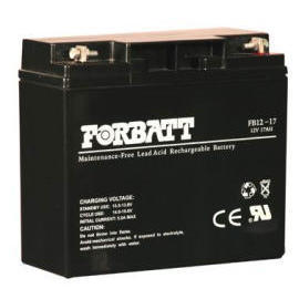 FORBATT NP Battery