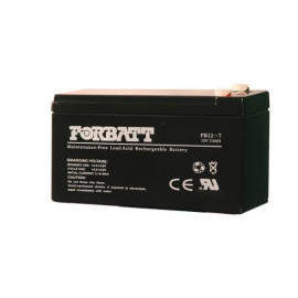 FORBATT NP Battery (FORBATT batterie NP)