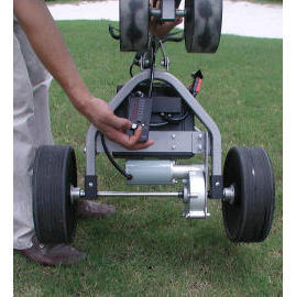 ELECTRIC GOLF CART (ELECTRIC GOLF CART)