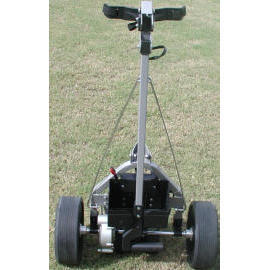 ELECTRIC GOLF CART (ELECTRIC GOLF CART)