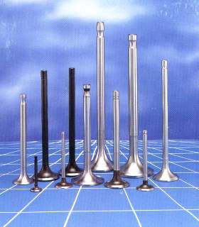 ENGINE VALVE (ENGINE VALVE)