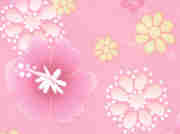 FABRIC (TISSU)