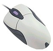 Mouse (Mouse)