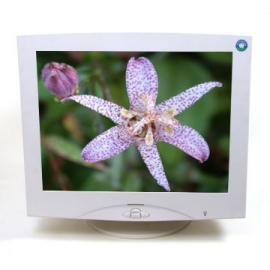 17-Inch 100% Flat Screen CRT PC Monitor (17-Inch 100% Flat Screen CRT PC Monitor)