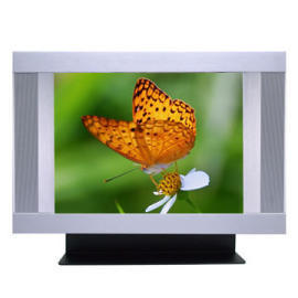 20-Inch LCD/TV Monitor (20-Inch LCD / TV-Monitor)