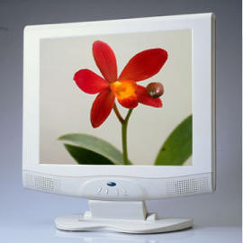 17-Inch LCD Monitor (17-Inch LCD Monitor)