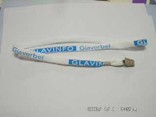 Lanyard