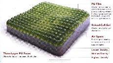 CareMate Wheelchair Cushion (CareMate Coussin pour fauteuil roulant)
