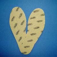 Insole (Insole)