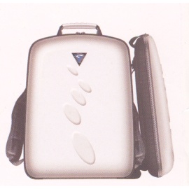 Computer Backpack (Computer Rucksack)