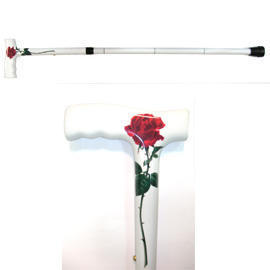 CARBON WALKING CANE (CARBONE WALKING CANE)