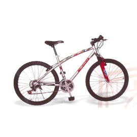 BICYCLES (FAHRRÄDER)