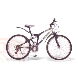 BICYCLES (FAHRRÄDER)