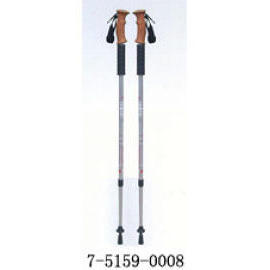 WALKING STICK (WALKING STICK)