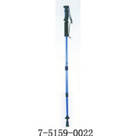 WALKING STICK (WALKING STICK)