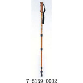 WALKING STICK (GEHSTOCK)