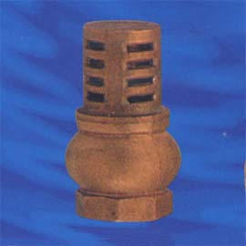 Brass foot valve (Cuivres clapet de pied)