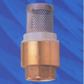 Brass foot valve (Cuivres clapet de pied)