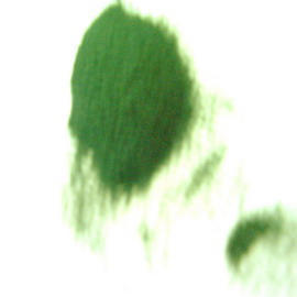 Spirulina Pulver / Tablette (Spirulina Pulver / Tablette)