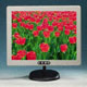 17, TFT LCD Monitor (17, TFT LCD Monitor)