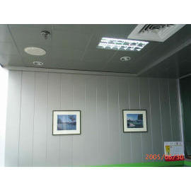 Aluminum Composite Panel (ACP) (Aluminum Composite Panel (ACP))