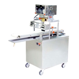 Separate Cutting Machine (Separate Schneidemaschine)