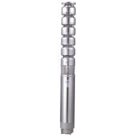Stainless Steel Submersible Pump (Acier inoxydable Pompe submersible)