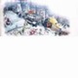 FILM RECYCLING PLANT (FILM-Recycling-Anlage)