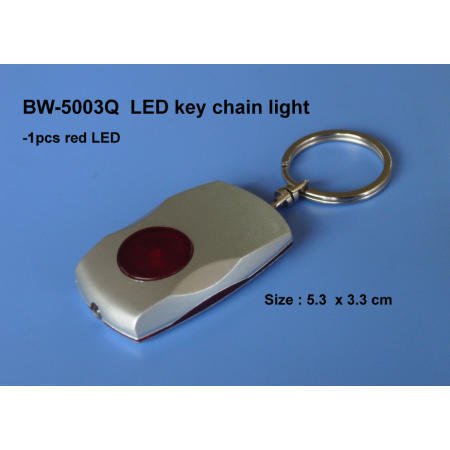 LED Key Chain Licht (LED Key Chain Licht)