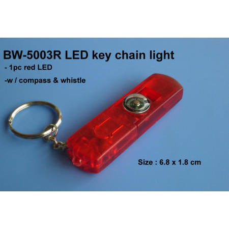 LED key chain light (LED key chain light)