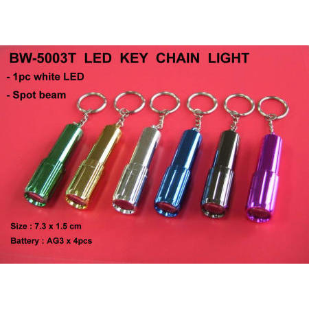 LED key chain light (Светодиодные ключевые легкая цепь)