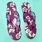 Flip Flop (Flip Flop)