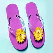 Flip Flop (Flip Flop)