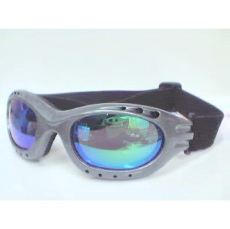 SKI GOGGLES (LUNETTES DE SKI)