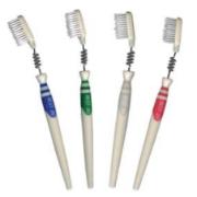 Toothbrush (Toothbrush)