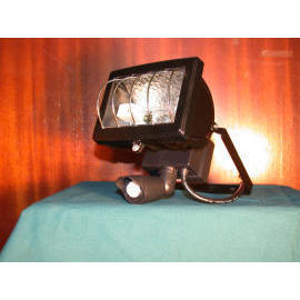 Outdoor Lamp, Burglar-proof Lamp (Открытый лампы, Взломостойкие лампа)