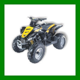 150c.c.ATV(All Terrain Vehicle) (150c.c.ATV (All Terrain Vehicle))