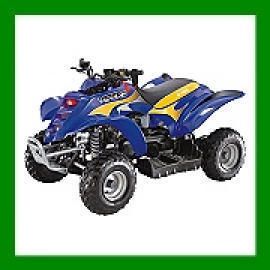ATV(All Terrain Vehicle),MOTORCYCLE,SCOOTER