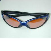 Sports Sunglasses (Lunettes de sport)