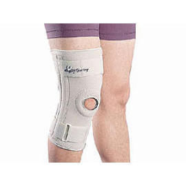 Ligament Knee (Ligament du genou)