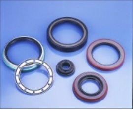 OIL SEALS