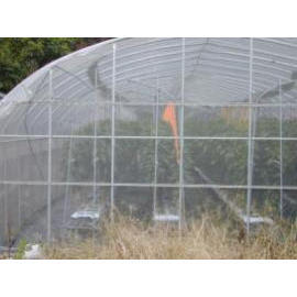 ORCHARD NETS (ORCHARD NETS)