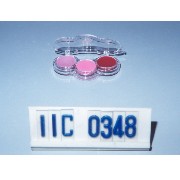 Lip gloss 3-color in clear case w/hold for hanging