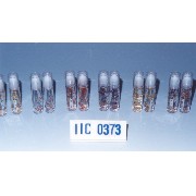 Lip Oil w/dry natural flower (Lip Oil w/dry natural flower)