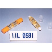 Roll-on plastic container 2 in 1 (Roll-on plastic container 2 in 1)