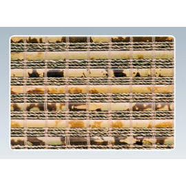 Bamboo Blinds (Bamboo Blinds)