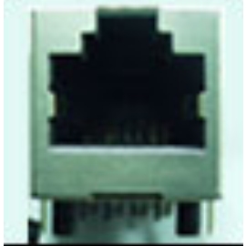 High Speed Jack (High Speed Jack)