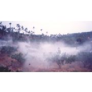 Auto Fog Spraying System - For Agricultural, Gardening & Orchard (Auto Fog Spraying System - For Agricultural, Gardening & Orchard)