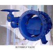 Butterfly Valve (Butterfly Valve)