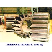 Pinion Gear (Pinion Gear)